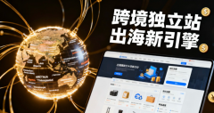 提供跨境电商独立站定制开发与全球支付集成服务