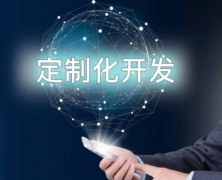 提供企业官网多语言国际化版本定制开发服务