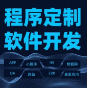 提供企业官网多语言国际化版本定制开发服务