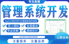 提供制造执行系统（MES）定制化部署与开发服务