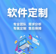提供项目管理系统（PMS）定制化开发服务