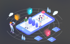 提供项目管理系统（PMS）定制化开发服务