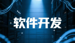 提供仓库管理系统（WMS）定制开发与集成服务