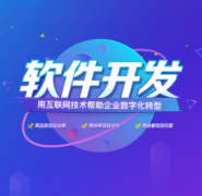 提供资产管理系统（EAM）定制化开发服务