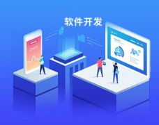 提供协同办公（OA）系统深度定制开发服务