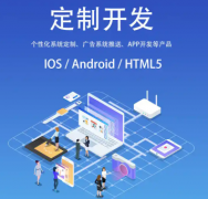 提供协同办公（OA）系统深度定制开发服务