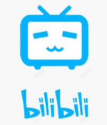 提供代运营管理Bilibili服务