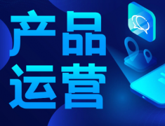 提供代运营管理公司官网服务