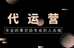 提供代运营管理公司官网服务
