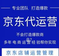 提供代运营管理淘宝/京东电商店铺服务