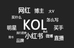 提供KOL/KOC达人整合营销服务