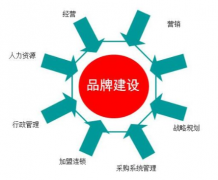 提供雇主品牌建设与招聘营销服务